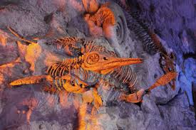 Maybe you would like to learn more about one of these? Sebutkan Arti Mimpi Bangkai Ikan Mati Paramimpi Paranormal Mimpi