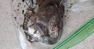 We did not find results for: Thomas Sibick Assaulted Officer Michael Fanone And Stole His Badge Feds