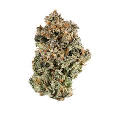 Don't mistake this strain for the infamous gsc, as some do. Blue Cookies Aka Blue Gsc Blue Girl Scout Cookies Weed Strain Information Leafly