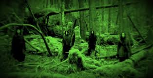 We have interrelated stories of conflict between loggers and environmentalists; The Kettering Incident Season 1 Episode 5 The Forest The Snarking Dead Tv Recaps