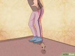 For cats that fetch naturally, simply picking up the toy and tossing it again is often enough of a reward. How To Train Your Cat To Fetch A Toy Mouse 10 Steps