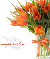 Beautiful pictures of flowers free download. Hd Pictures Of Beautiful Flowers 08 Free Stock Photos In Image Format Jpg Size 3837x3837 Format For Free Download 3 87mb