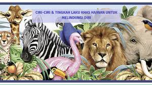 Populasi babi hutan di kanada meningkat 9% setiap tahun, dan haiwan ni boleh hidup dalam semua. Sains Tahun 5 By Nurhan Ridzuan