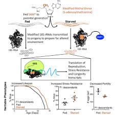 Image result for Blendtone Gray 1977 Hussmann