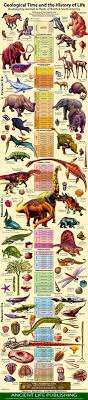 Geological Timeline Poster Evolution Of Earth Science