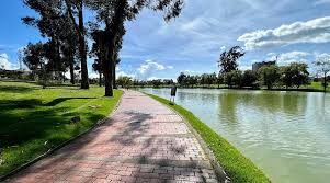 Image result for parque