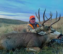 💥Colorado Mule Deer Hunting in 2025💥...