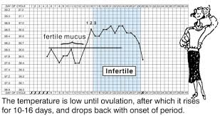 Fertility Education Training