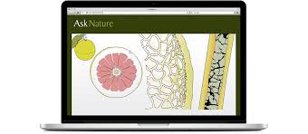 You Are Being Redirected Design Challenges Human Design Ask Nature