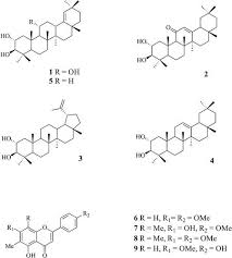 Image result for Commicarpus grandiflorus