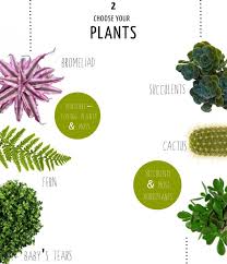 Pin By Ikkie En Dikkie 4ever On Garden How To Make Terrariums Cactus And Succulents Plants
