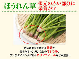 ほうれん草の効果的な調理法 冬から春は栄養価アップ ウェザーニュース