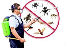 Pest control license will be given only to a science or agri graduate who also has done a certification course from premier institute such as cftri. Why We Need Professional Exterminator To Get Rid Of Pesky Pests Best Pest Control Pest Control Pest Solutions
