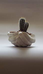 Successfully used by cacti and succulent enthusiasts all over new zealand. Modern Ceramics Succulent Planter Cactus Planter Office Desk Etsy Ceramic Succulent Planter Ceramic Succulent Porcelain Planter