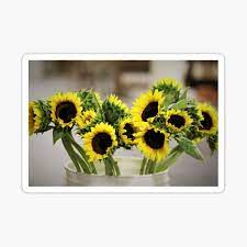 Maybe you would like to learn more about one of these? Palm Beach Wholesale Flowers Gifts Merchandise Redbubble