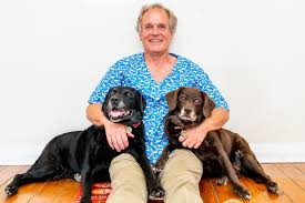 Gentle care animal hospital at ten ten. Glenhaven Veterinary Hospital 442 Old Northern Rd 02 9894 6344