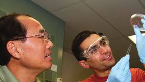 school of electrical, computer and energy engineering