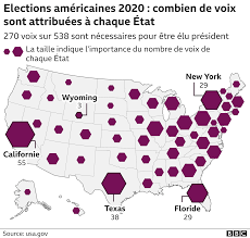 La population mondiale (le nombre total d'êtres humains vivant actuellement sur la planète. Election Presidentielle Americaine 2020 Les Cles Pour Tout Comprendre Bbc News Afrique