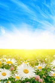 Nature Wallpapers Hd Mobile Group 46 Download free cell phone nature wallpapers.