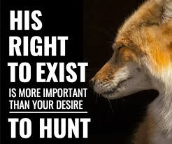 Six months in prison for the gravest act of animal cruelty, such as torturing an animal to death, is a fraction of the maximum sentence for fly tipping five years or theft seven years. Pin By Andy Paoli On Veganism And Animal Activism In 2020 Animal Lover Quotes Animal Abuse Awareness Animal Rights Quotes