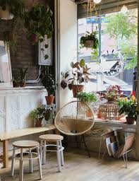 Most plants do not grow at their best in shaded or low light conditions, especially flowering types. Caring For Indoor Plants In Low Light Conditions Architectural Digest