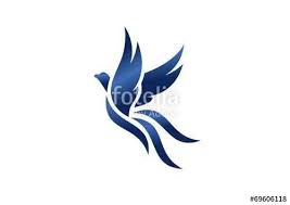 Vektor Vogel Logo Fliegen Habicht Adler Flugel Phoenix Symbol Symbol In 2020 Bird Logos Icon Tattoo Bird Drawings