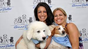 Because seriously, no one is more ideal as a. Home Gimme Shelter Animal Rescue