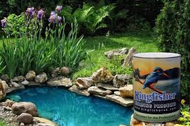Concrete shotcrete gunnite cement wood steel aluminum tile stone and rock. Epoxy Pond Paint Waterproof Pond Paint Pond Sealant Paint