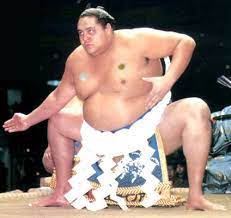 We did not find results for: Famous Sumo Wrestler Japan Reference