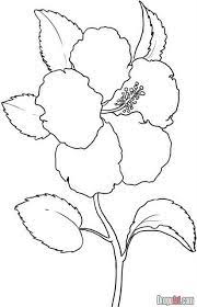 Warna putih melambangkan kedamaian dan. Image Result For Lukisan Bunga Raya Printable Flower Coloring Pages Flower Coloring Pages Sunflower Coloring Pages