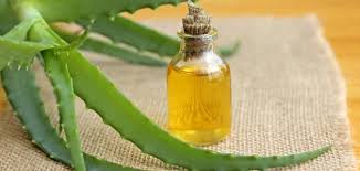 فوائد زيت الصبار للشعر رحيق Aloe Vera Skin Care Homemade Wrinkle Cream Peeling Skin