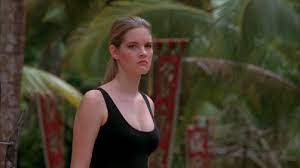 The movie, mortal kombat directed by paul w.s. Guilty Pleasures Mortal Kombat 1995 Hero Or Sub Zero Screenkicker