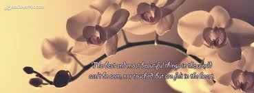 Best And Beautiful Heart Touching Quotes Facebook Cover Photo Facebook Cover Photos best and beautiful heart touching
