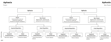 They can also help arrange . Causes Of Aphasia Differential Diagnosis Algorithm Fluent Grepmed