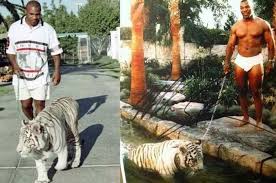 Michael gerard tyson (born june 30, 1966) is an american former professional boxer who competed from 1985 to 2005. Mike Tyson Reveals How His Tiger Ripped Off A Woman S Arm I Was Dumb Then Ten Archyde