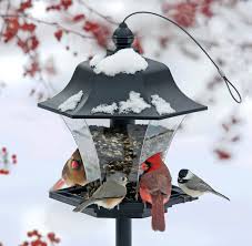نتیجه جستجوی لغت [flock] در گوگل