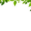 7000 x 7352 png 4999 кб. 1