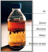 Preventing And Removing Diesel Algae Boatcoachbob