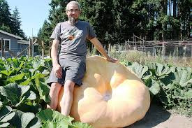 Image result for giant pumpkin