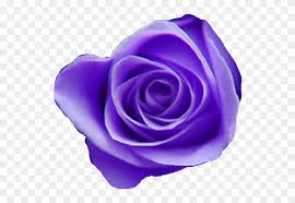 All png & cliparts images on nicepng are best quality. Tumblr Purple Aesthetic Purpleaesthetic Purpleflowermix Purple Roses Free Transparent Png Clipart Images Download