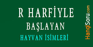 R Harfiyle Baslayan Hayvan Isimleri Nelerdir Hangisoru Com