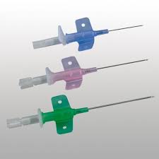 catheter for a dog