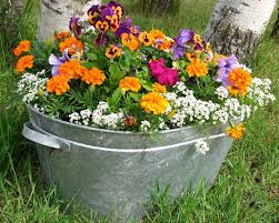 Just make sure they have a simple structure to support them. Growing Edibles In Containers Enjoy Container Gardening