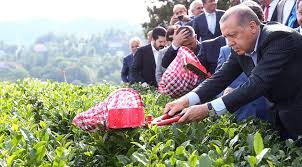 Recep tayyip erdoğan (born 26 february 1954) is a turkish politician serving as the current president of turkey.he previously served as prime minister of turkey from 2003 to 2014 and as mayor of istanbul from 1994 to 1998. Erdogan In Topladigi Cay Bin Liraya Alici Buldu Son Dakika Haberleri