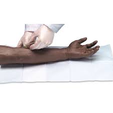 Advanced Venipuncture and Injection Arm- Dark Skin - 1005679 - W44217 -  Lifeform - LF01126U - Injection Training Products - Skills Training  Products - Medical Skills Training - Nurse Training Skills