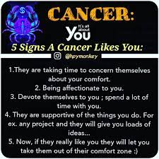 What does it mean to look like a cancer zodiac sign? Pin Auf Cancer Sign
