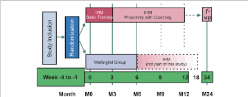 Flow Chart Showing The Design Of The Study Ihm Individual