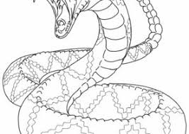 39+ diamondback rattlesnake coloring pages for printing and coloring. Rattlesnake Coloring Pages Coloring4free Com