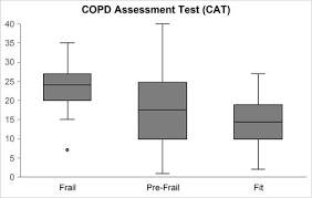 Image result for COPD Assessment Test