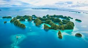 Palau tourism palau hotels palau bed and breakfast palau vacation rentals palau vacation packages flights to palau things to do in palau palau travel forum palau photos palau map palau. Best Palau Liveaboard Reviews 2020 Divezone
